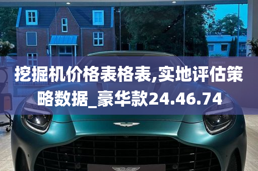 挖掘机价格表格表,实地评估策略数据_豪华款24.46.74