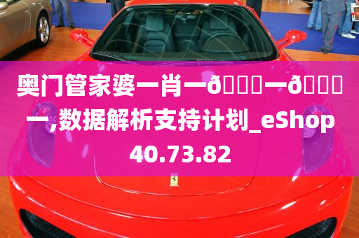 奥门管家婆一肖一🐎一🀄一,数据解析支持计划_eShop40.73.82