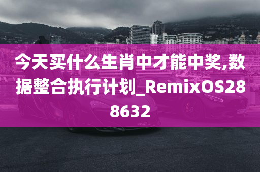 今天买什么生肖中才能中奖,数据整合执行计划_RemixOS288632