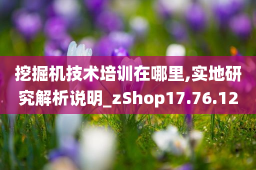 挖掘机技术培训在哪里,实地研究解析说明_zShop17.76.12