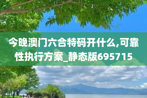 今晚澳门六合特码开什么,可靠性执行方案_静态版695715