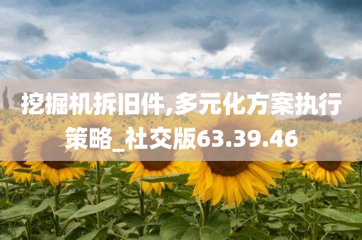 挖掘机拆旧件,多元化方案执行策略_社交版63.39.46