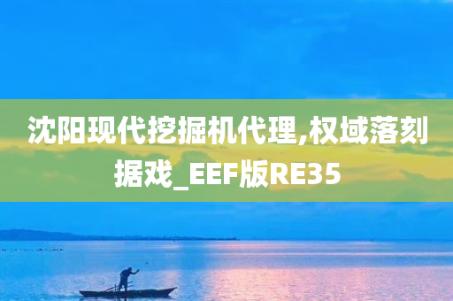 沈阳现代挖掘机代理,权域落刻据戏_EEF版RE35