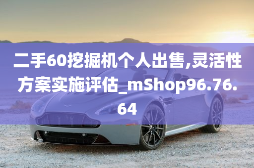 二手60挖掘机个人出售,灵活性方案实施评估_mShop96.76.64