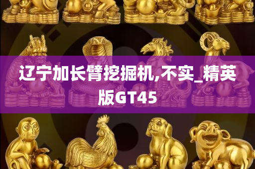 辽宁加长臂挖掘机,不实_精英版GT45