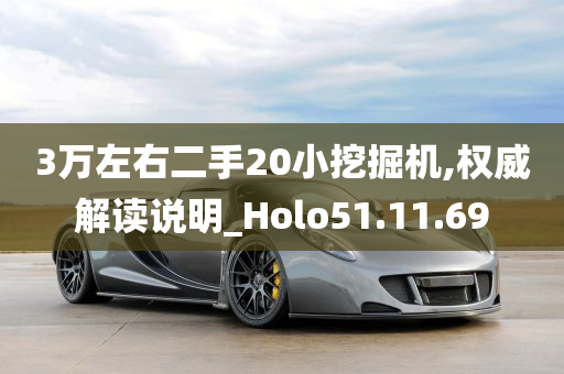 3万左右二手20小挖掘机,权威解读说明_Holo51.11.69