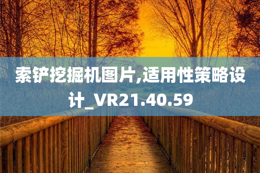 索铲挖掘机图片,适用性策略设计_VR21.40.59